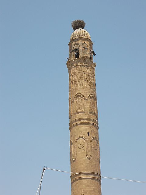 Hasankyef-minaret-nest-stork